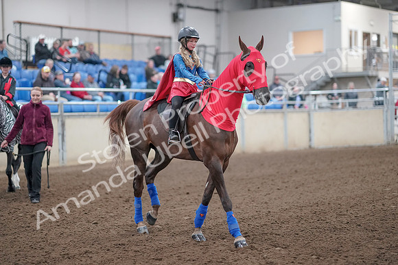 2019 Morgan Horse Show - Aug 31, 2019 - 09993