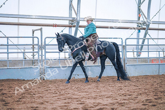 July 20, 2019 - 23373