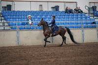2019 Morgan Horse Show - Sept 01, 2019 - 12739