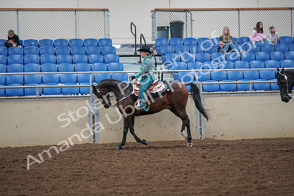 2019 Morgan Horse Show - Aug 30, 2019 - 16881