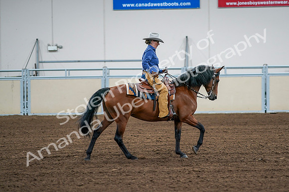 2020 - AB Morgan Horse - Fri, Sept 04 - 00116