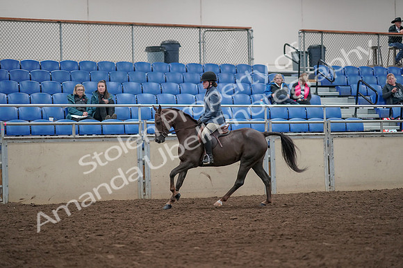 2019 Morgan Horse Show - Aug 31, 2019 - 07328