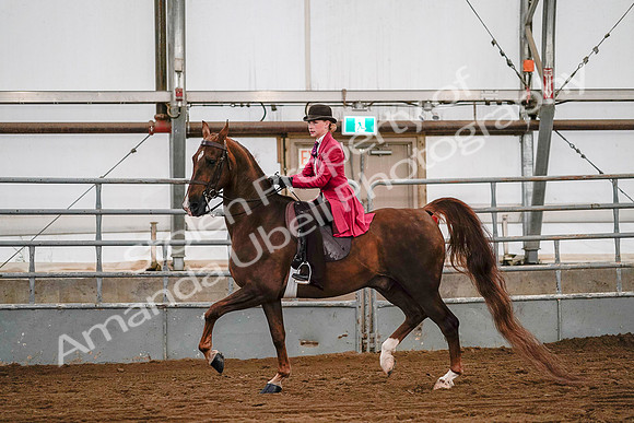 July 19, 2019 - 8744