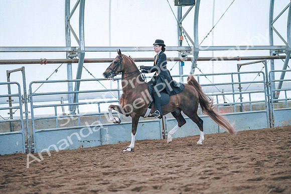 July 20, 2019 - 24133
