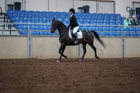 2019 Morgan Horse Show - Aug 30, 2019 - 18297