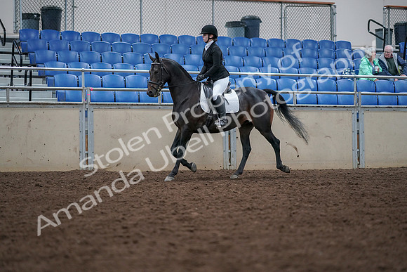 2019 Morgan Horse Show - Aug 30, 2019 - 18297