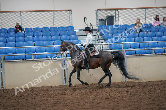 2019 Morgan Horse Show - Aug 30, 2019 - 16875