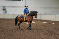 2020 - AB Morgan Horse - Fri, Sept 04 - 00017