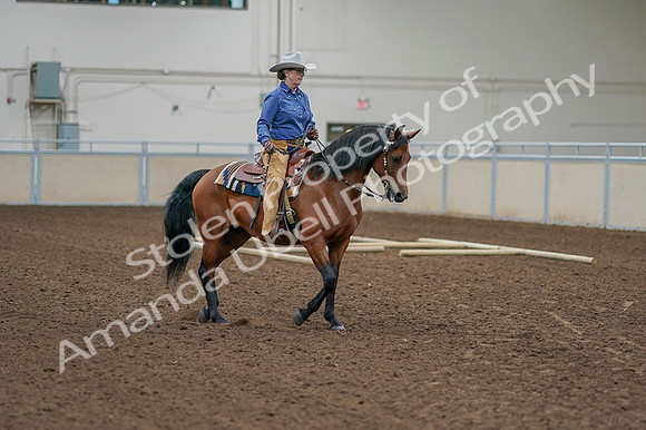 2020 - AB Morgan Horse - Fri, Sept 04 - 00017