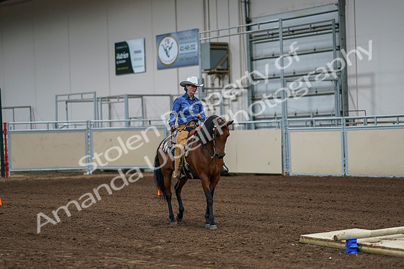 2020 - AB Morgan Horse - Fri, Sept 04 - 00217