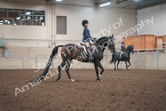 2019 Morgan Horse Show - Aug 31, 2019 - 19613