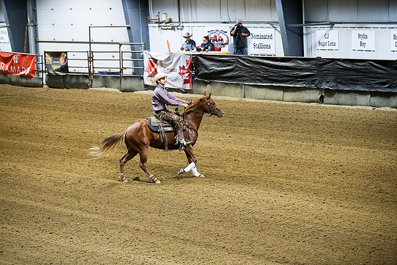 DSC04250