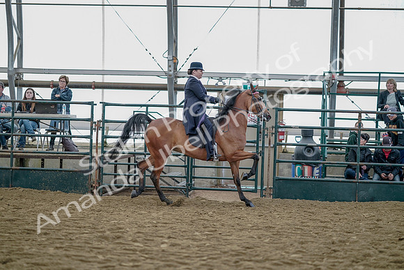 July 20, 2019 - 13954
