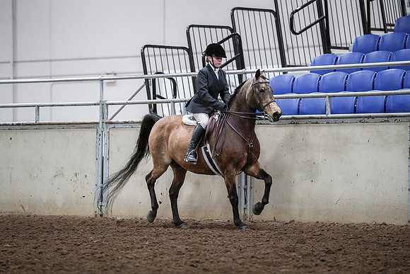Spring Fling - Saturday - April 20, 2019  -  03792