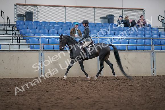 2019 Morgan Horse Show - Aug 31, 2019 - 14688