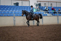 2019 Morgan Horse Show - Aug 30, 2019 - 18305