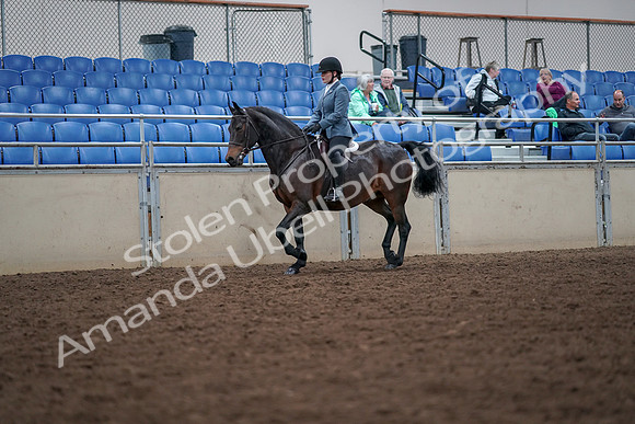 2019 Morgan Horse Show - Aug 30, 2019 - 18305