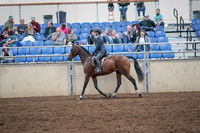 2019 Morgan Horse Show - Aug 31, 2019 - 21380