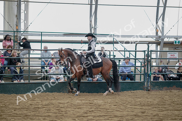 July 21, 2019 - 06567