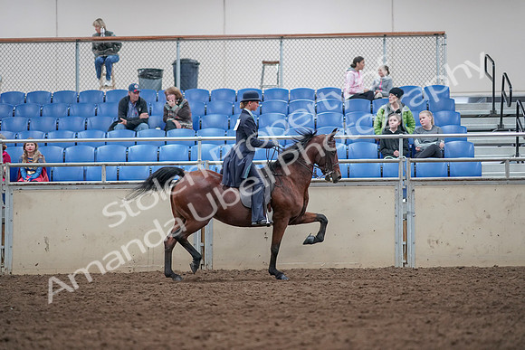 2019 Morgan Horse Show - Aug 31, 2019 - 09610