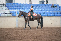 2019 Morgan Horse Show - Sept 01, 2019 - 05734