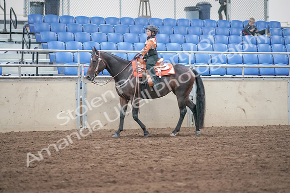 2019 Morgan Horse Show - Sept 01, 2019 - 05734