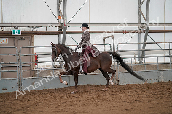 July 20, 2019 - 04461