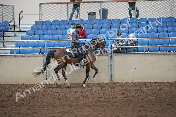 2019 Morgan Horse Show - Aug 31, 2019 - 06147