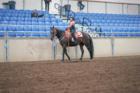 2019 Morgan Horse Show - Sept 01, 2019 - 05719