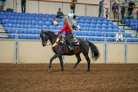 2020 - AB Morgan Horse - Sat, Sept 05 - 10365