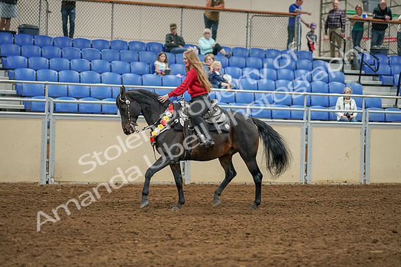 2020 - AB Morgan Horse - Sat, Sept 05 - 10365