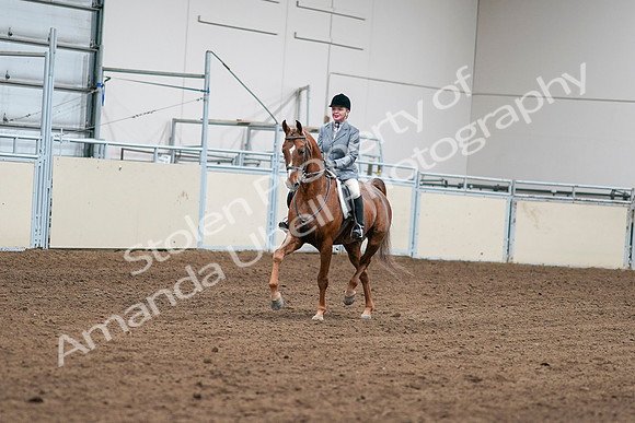 2020 - AB Morgan Horse - Sat, Sept 05 - 03233