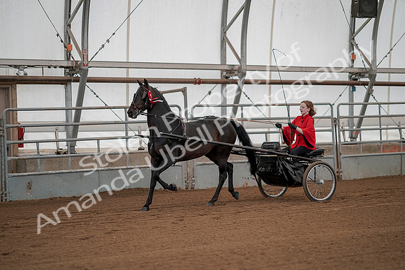 July 20, 2019 - 00297