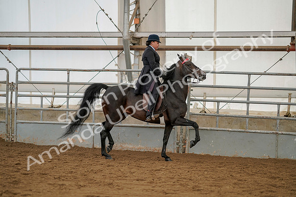 July 20, 2019 - 04512