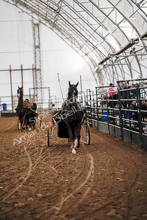 July 19, 2019 - 6837