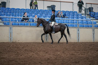 2019 Morgan Horse Show - Sept 01, 2019 - 09003