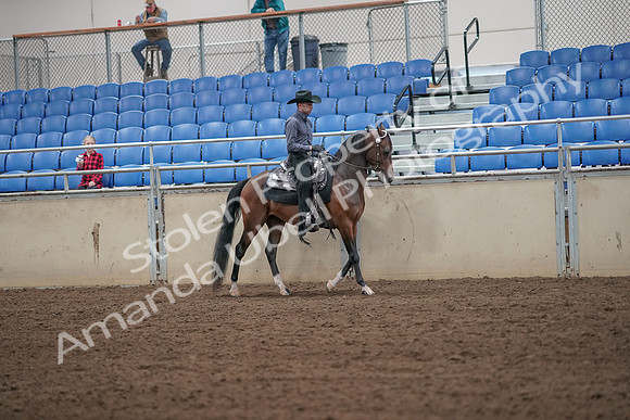 2019 Morgan Horse Show - Aug 31, 2019 - 06219