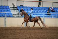 2020 - AB Morgan Horse - Sat, Sept 05 - 03312