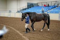 2020 - AB Morgan Horse - Fri, Sept 04 - 00881