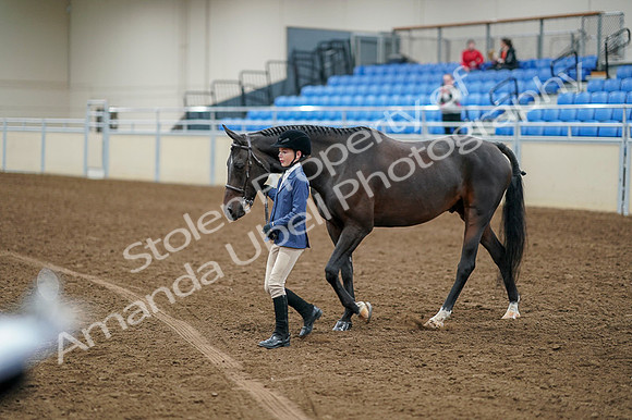 2020 - AB Morgan Horse - Fri, Sept 04 - 00881