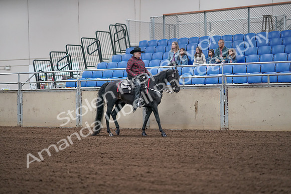 2019 Morgan Horse Show - Aug 31, 2019 - 10668