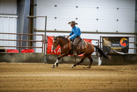 Rein - Fence/Box - Open Futurity