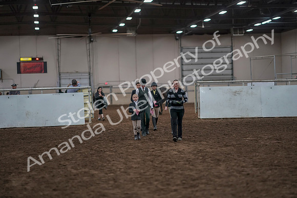 2019 Morgan Horse Show - Aug 31, 2019 - 03916