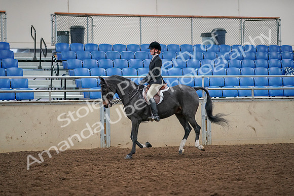 2019 Morgan Horse Show - Aug 30, 2019 - 23418