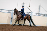 2020 - AB Morgan Horse - Sat, Sept 05 - 08537
