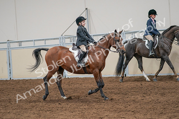 2020 - AB Morgan Horse - Sun, Sept 06 - 08001