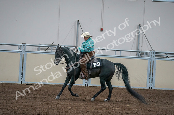 2020 - AB Morgan Horse - Fri, Sept 04 - 00627