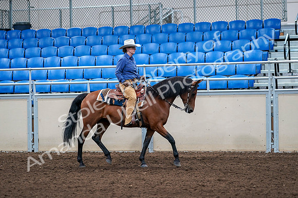 2020 - AB Morgan Horse - Fri, Sept 04 - 00197
