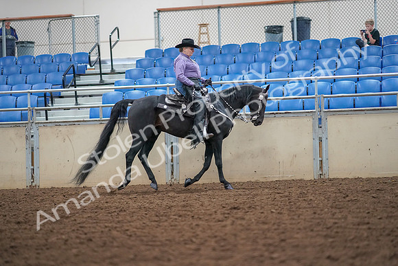 2019 Morgan Horse Show - Aug 30, 2019 - 16930