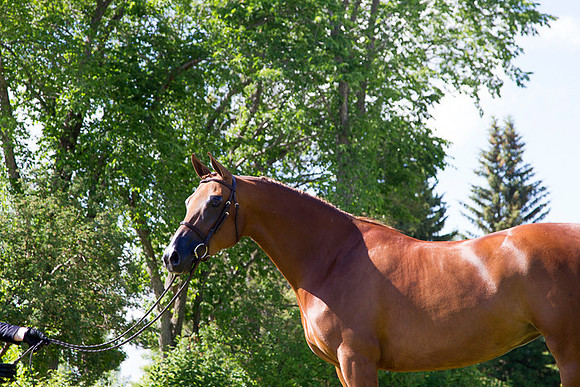 _P3A8008